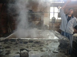 �S�����摜1