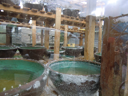 �S�����摜2